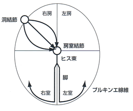 不整脈